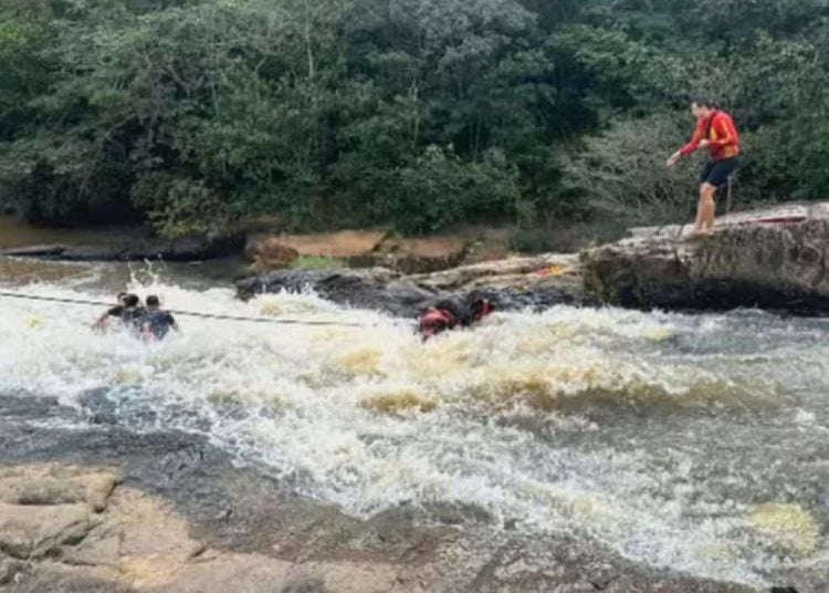 Rec M Nascido Encontrado Morto Em Lote Baldio De Senador Canedo Dia