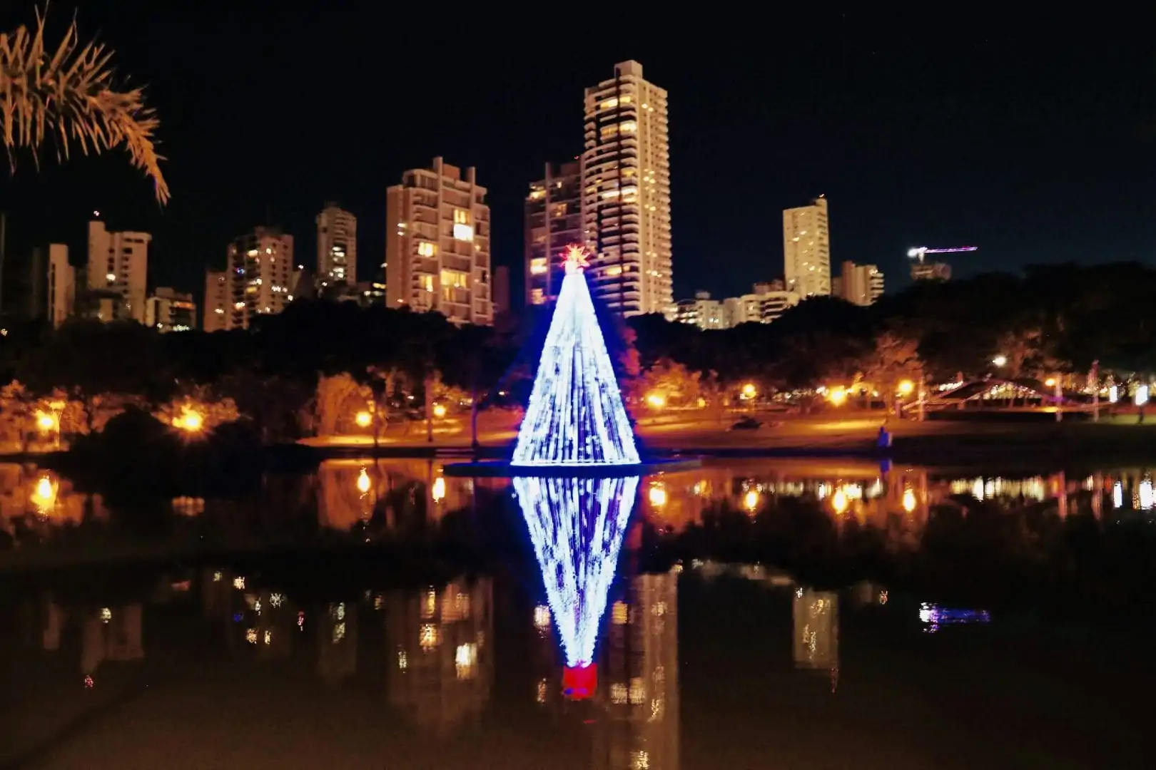 Mais de longe é possível notar como a árvore iluminada no lago do Parque Vaca Brava altera a paisagem