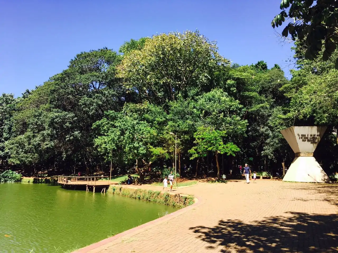 O Bosque dos Buritis já fazia parte do projeto de construção de Goiânia, do arquiteto e urbanista Attílio Correia Lima | Foto:  Nana Caê