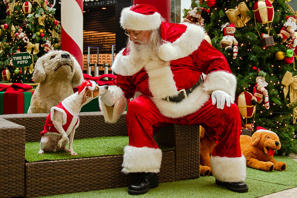 Shopping tem espaço para fotos de pets com Papai Noel