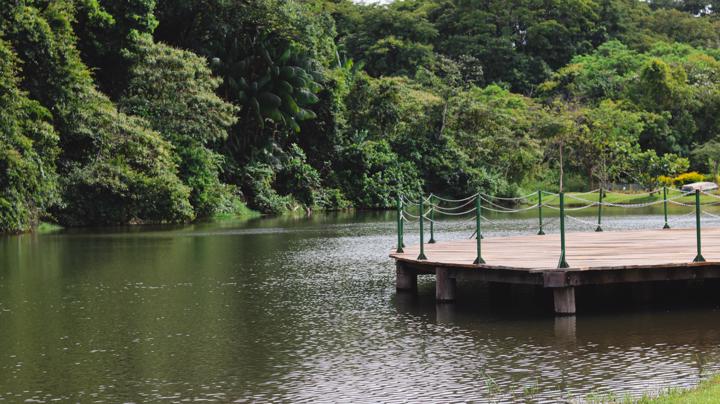 7 parques de Goiânia que todo mundo tem que conhecer