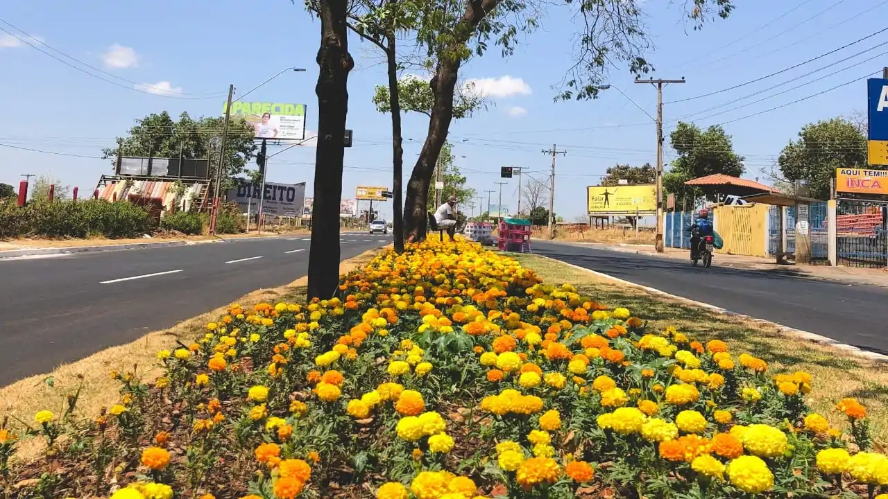 Aparecida de Goiânia: confira o que abre e fecha nos próximos 30 dias
