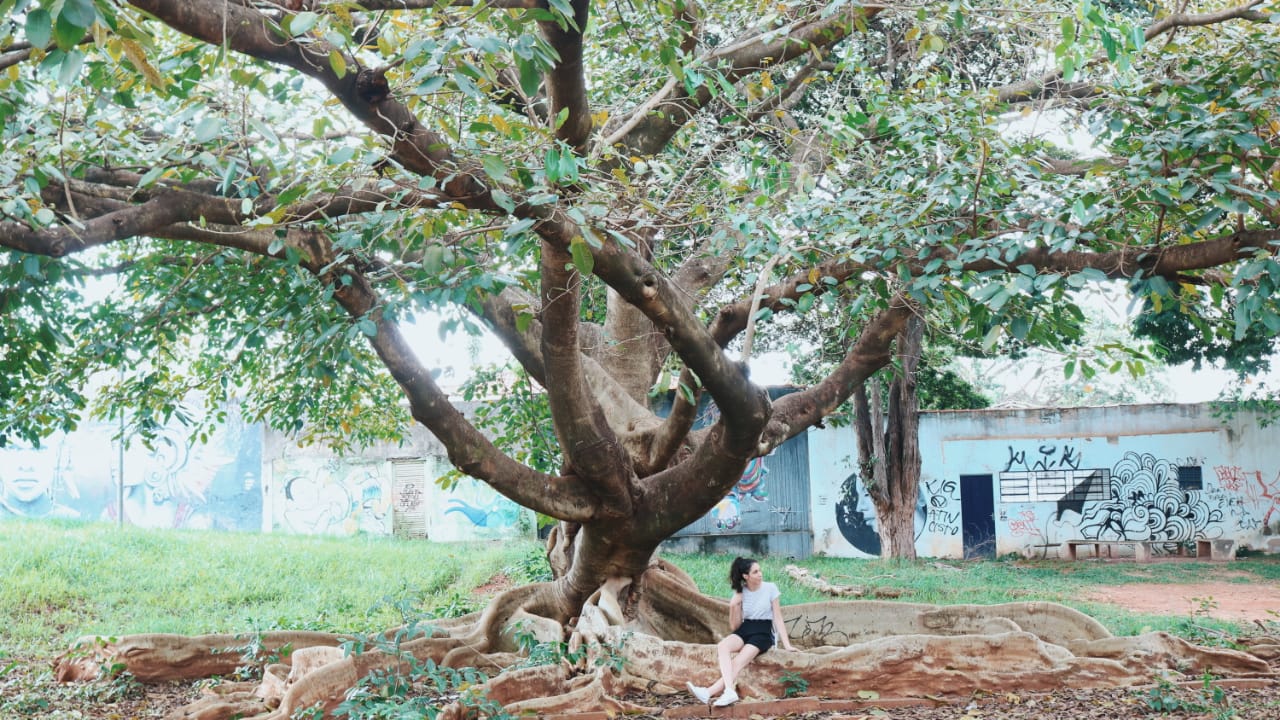 CAU promove webnário "Cidade com memória, pessoas com história"