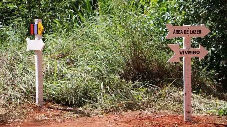 Floresta Nacional de Silvânia: um santuário de preservação do Cerrado