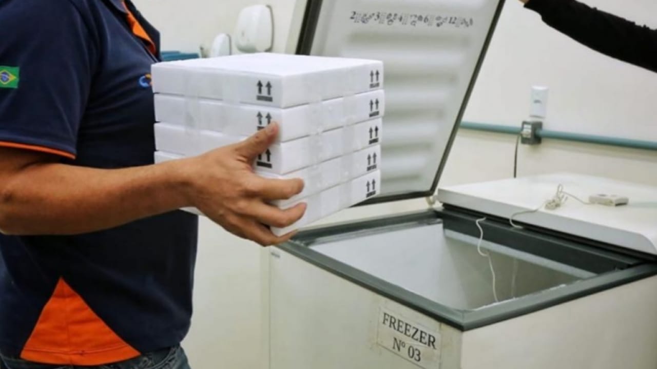 Goiás recebe 1º lote da vacinas contra a Covid-19 da Pfizer