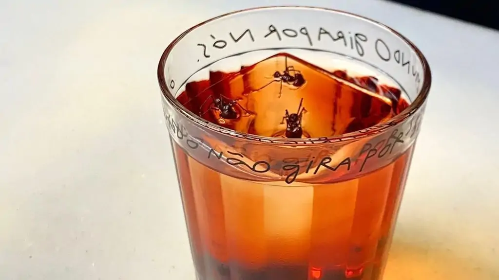 Na Negroni Week, o Zimbro Bar, de Goiânia lança drink com formiga amazônica