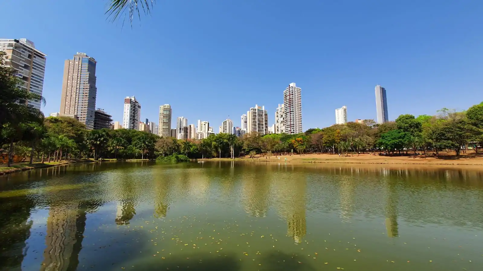 Goiânia tem novo decreto que flexibiliza shows, bares e academias