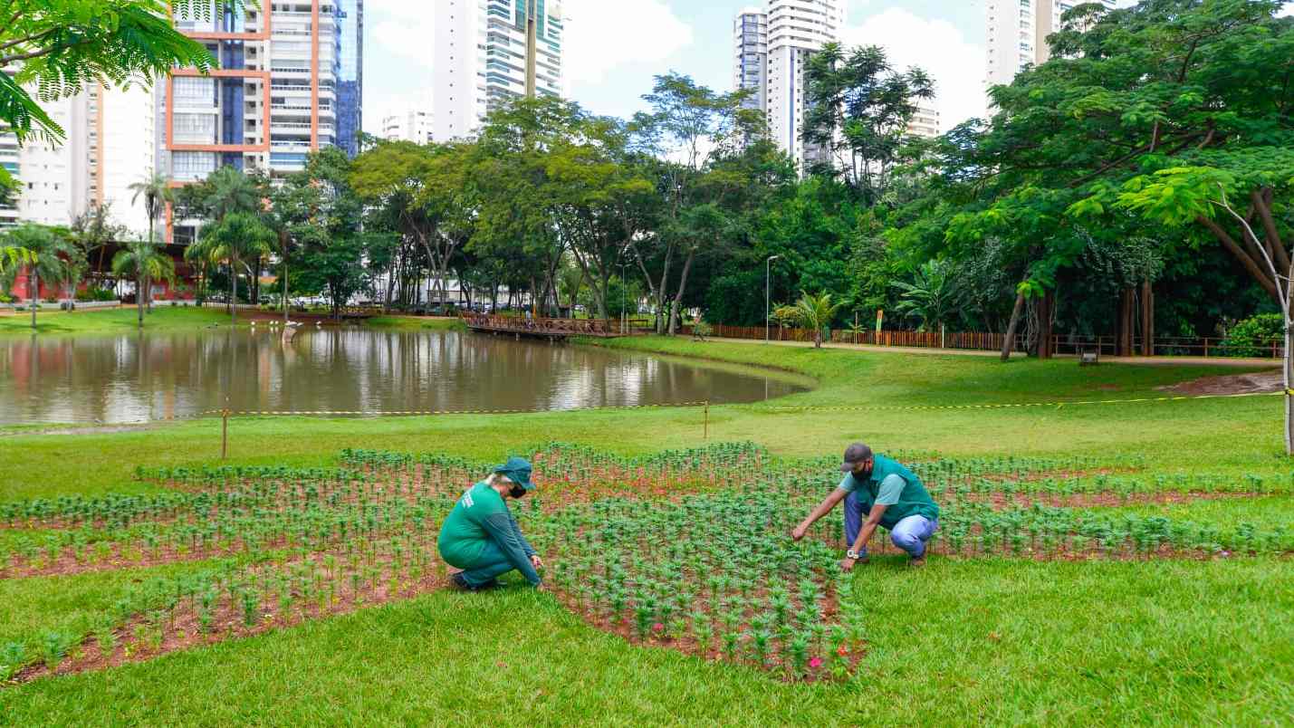 Prefeitura de Goiânia lança Projeto Flores no Parque