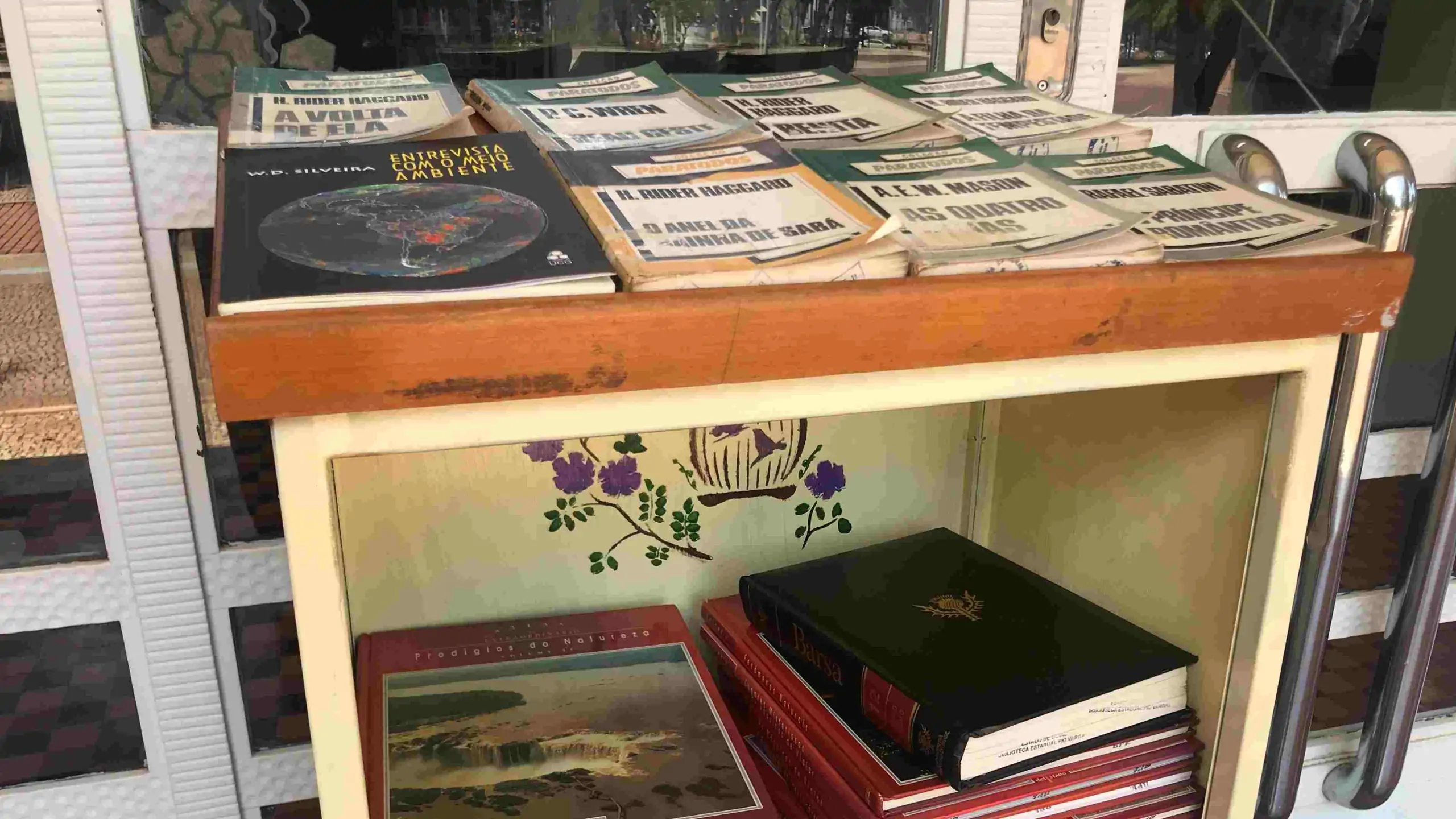 Projeto Estante Literária, da Biblioteca Pio Vargas, disponibiliza livros gratuitamente