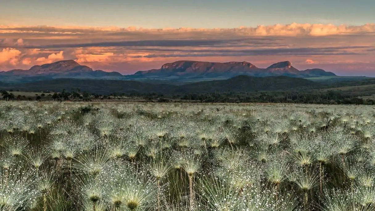 Jardim de Maytrea, na Chapada do Veadeiros, ganhará mirante