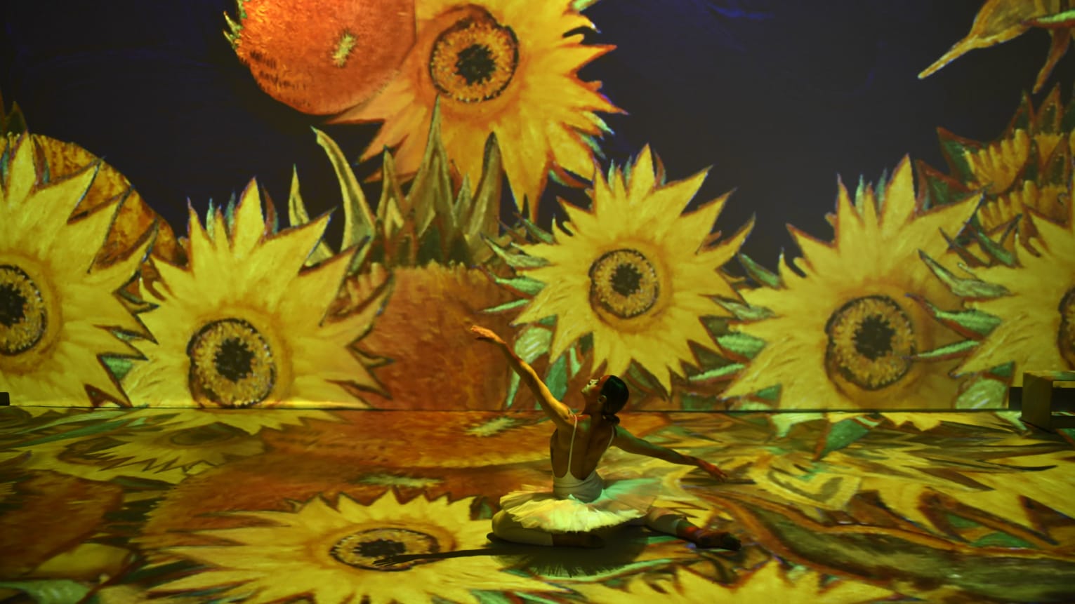 Goiânia recebe exposição imersiva Van Gogh Live 8k