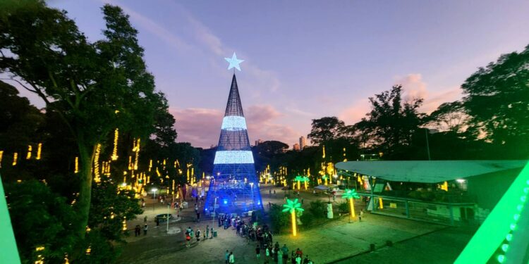 Decoração de Natal do Parque Mutirama segue até 15 de janeiro