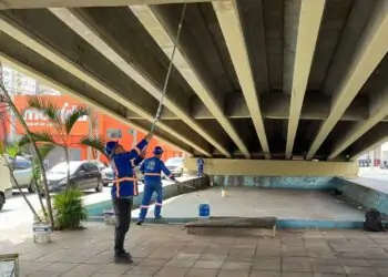 Projeto Arte Urbana será realizado no Viaduto da T-63