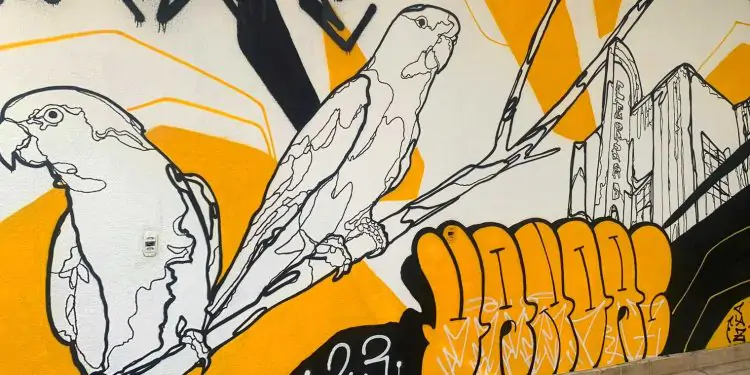 Vila Cultural Cora Coralina ganha novo mural de grafite