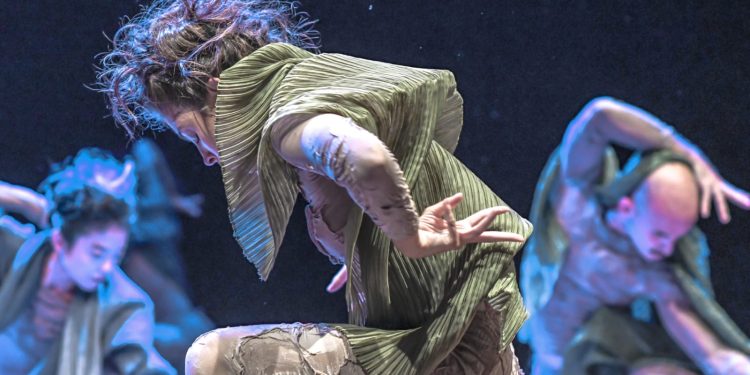 Quasar Cia de Dança celebra 35 anos com estreia de espetáculo