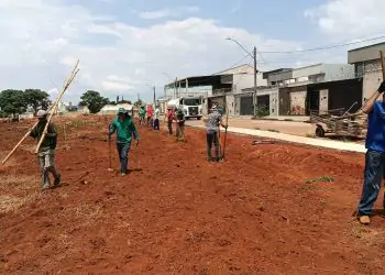 ArborizaGyn projeta plantar 50 mil mudas de árvores em área de preservação no Residencial Três Marias