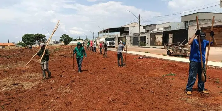 ArborizaGyn projeta plantar 50 mil mudas de árvores em área de preservação no Residencial Três Marias