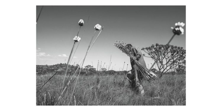 Exposição fotográfica Dentro será aberta no dia 12 de fevereiro, no Centro Cultural UFG