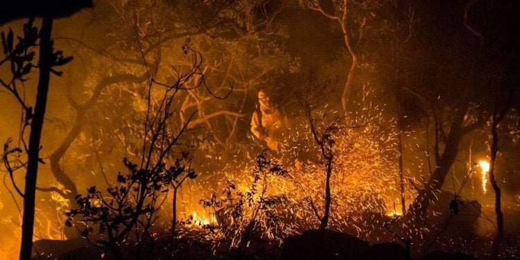 Fapeg investe R$ 1 milhão na prevenção de incêndios no Cerrado de Goiás