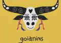 Goianins abre inscrições gratuitas para oficinas artísticas direcionadas a crianças típicas e atípicas