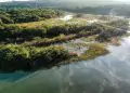 Porto das Antas: Documentário sobre reserva ecológica em Serranópolis estreia neste sábado (10/5)