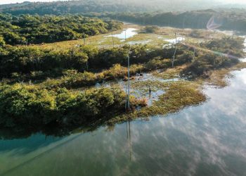 Porto das Antas: Documentário sobre reserva ecológica em Serranópolis estreia neste sábado (10/5)