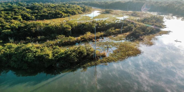 Porto das Antas: Documentário sobre reserva ecológica em Serranópolis estreia neste sábado (10/5)