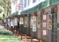 Centro Livre de Artes apresenta 2ª edição do Arte no Bosque