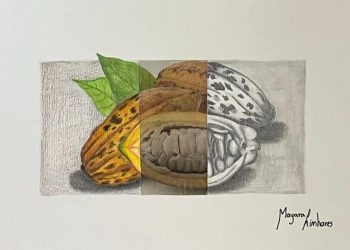 EFG Basileu França apresenta 2 exposições de Artes Visuais