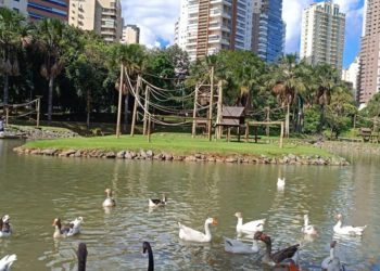 Zoológico de Goiânia é fechado após adotar medida preventiva