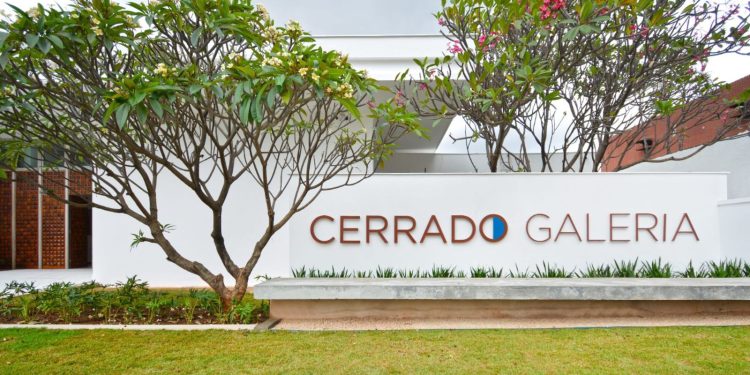 Cerrado Galeria recebe exposições gratuitas de Estêvão Parreiras e David Almeida