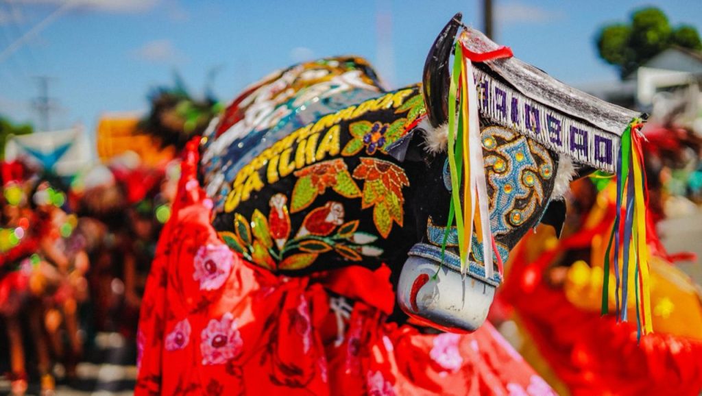 Festas juninas 2025: confira opções para curtir em todo o Brasil
