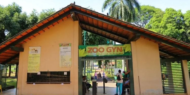 Zoológico de Goiânia reabre nesta quinta-feira (12/6) após teste negativo para gripe aviária