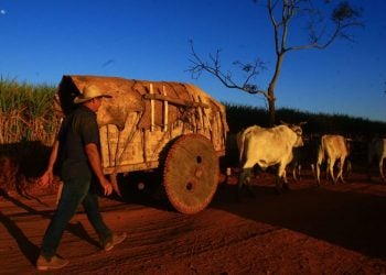 Exposição in memoriam ao fotógrafo Lázaro Neves sobre a fé dos carreiros será inaugurada quarta (25/6)