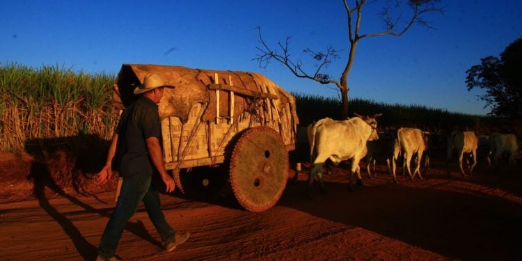 Exposição in memoriam ao fotógrafo Lázaro Neves sobre a fé dos carreiros será inaugurada quarta (25/6)