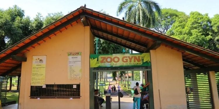 Zoológico de Goiânia promove programação especial com foco na preservação de animais