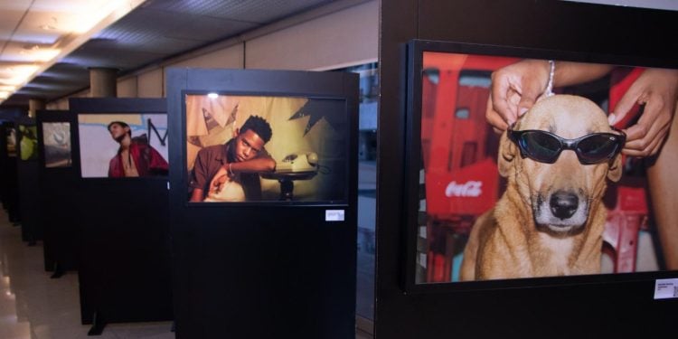 Olhares da Vila: Vila dos Sertões, em Goiânia, recebe exposição de fotos e pinturas