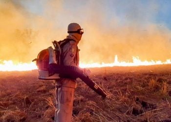 Aplicativo permite população a informar focos de incêndio em Goiânia