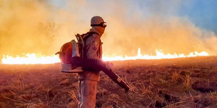 Aplicativo permite população a informar focos de incêndio em Goiânia