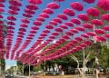 Praça Tamandaré recebe atividades do Outubro Rosa neste domingo (5/10)