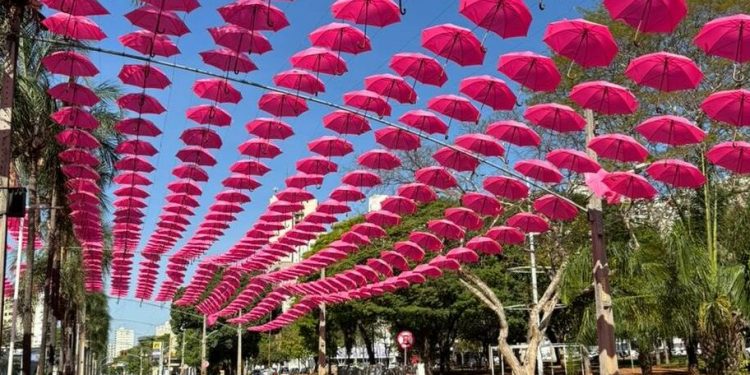 Praça Tamandaré recebe atividades do Outubro Rosa neste domingo (5/10)