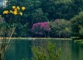 Tudo o que você precisa saber para aproveitar o Parque Ibirapuera