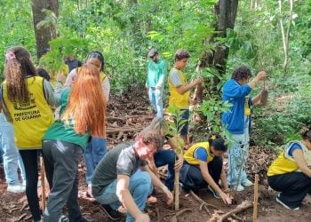Virada Ambiental 2025 tem criação inédita de corredor verde entre Goiânia e Aparecida