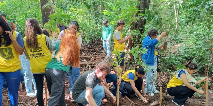 Virada Ambiental 2025 tem criação inédita de corredor verde entre Goiânia e Aparecida