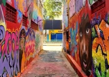 Feira UAI VÉI: 2ª edição acontece no Centro de Goiânia