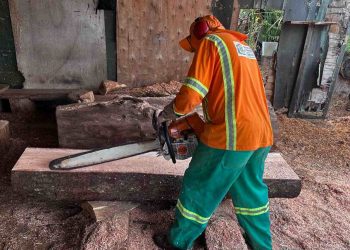 Marcenaria da Comurg transforma árvores caídas em bancos para praças