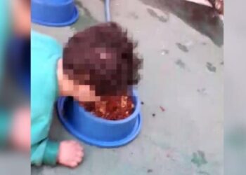 Mãe de criança filmada comendo ração é indiciada por maus tratos