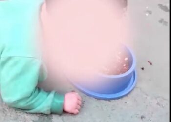Vídeo mostra criança de dois anos comendo ração em Trindade