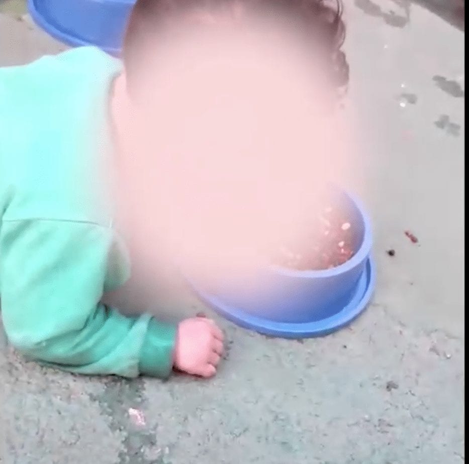 Vídeo mostra criança de dois anos comendo ração em Trindade