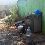 Bombeiros salvam cãozinho em casa destruída incendiada em Aparecida de Goiânia